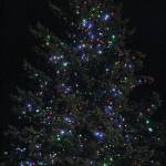 The holiday tree outside the Homer Chamber of Commerce and Visitor Center lights up for the first time this season on Thursday, Dec. 5, 2019 at the chamber and visitor center in Homer, Alaska. Mayor Ken Castner turned the lights on while community members enjoyed smores, hot chocolate and carols from the Homer Swing Choir. (Photo by Megan Pacer/Homer News)