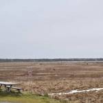 Green grass is visible at the Kenai Flats lookout of of Bridge Access Road, which was under measurable snow last week, on Monday, Dec. 9, 2019, in Kenai, Alaska. (Photo by Victoria Petersen/Peninsula Clarion)