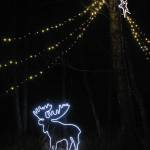 Bear Creek Winery Garden of Lights celebrates 5th year