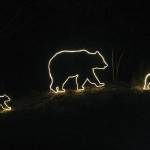Bear Creek Winery Garden of Lights celebrates 5th year