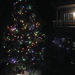 Bear Creek Winery Garden of Lights celebrates 5th year
