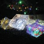 Bear Creek Winery Garden of Lights celebrates 5th year