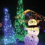Bear Creek Winery Garden of Lights celebrates 5th year