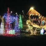 Bear Creek Winery Garden of Lights celebrates 5th year
