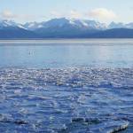 Ice pans cover the shore on Jan. 7, 2020, at a Kachemak Drive beach near Millers Landing in Homer, Alaska. (Photo by Michael Armstrong/Homer News)