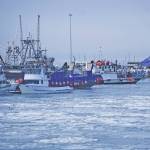 Ice chokes the Homer Harbor on Jan. 9, 2020, in Homer, Alaska. Though there were some open leads in the harbor, ice floes clogged the harbor entrance. (Photo by Michael Armstrong/Homer News)