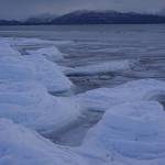 Ice covers the beach on Tuesday, Jan. 28, 2020, at Mariner Park on the Homer Spit in Homer, Alaska. Average temperatures below 10 degrees have not only frozen Mud Bay, but also is causing ice to build up on the outer beaches of the Spit. The weather forecast calls for snow on Friday turning to sunshine on Saturday, with high temperatures in the 10s and lows in the 1s. (Photo by Michael Armstrong/Homer News)