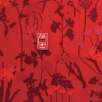 Wilderness inspires shows for First Friday