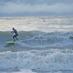 A man surfs off the Homer Spit on Thursday afternoon, Jan. 30 in Homer. (Photo by MIchael Armstrong/Homer News)