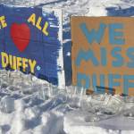 Painted signs posted at the candlelight vigil held for Anesha Duffy Murnane on Saturday, Feb. 1, 2020, at WKFL Park in Homer, Alaska, affirm love for Murnane and beseech her safe return. (Photo by Delcenia Cosman)