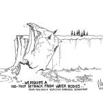 Letters to the Editor