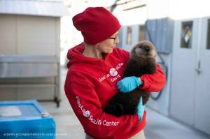 A member of the Alaska SeaLife Centers Wildlife Response Team holds the newest addition to the SeaLife Center, a male otter pup, in this undated photo. (Courtesy Alaska SeaLife Center)