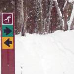 A sign marks one of the groomed ski trails on the Kenai National Wildlife Refuge. (Photo by Matt Bowser/Kenai National Wildlife Refuge)