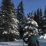 The author and a friend ski the hayfield loop on Feb. 24, 2020 at the Lookout Mountain Trails near Homer, Alaska. (Photo by Megan Pacer/Homer News)