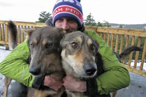 AP file Photo/Mark Thiessen                                 In this March 20, 2019, file photo, Iditarod musher Nicolas Petit, of France, poses with two of his dogs in Anchorage. Nearly a third of the 57 mushers in this years Iditarod Trail Sled Dog Race have quit the race before finishing, including Petit, who activated an alert button seeking rescue last Thursday morning, March 19, because of weather conditions.