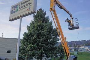 Nathan Simpson of Dutch Boy Landscaping on Nov. 14, 2019, installs colored lights on the tree by Homer Electric Association in Homer, Alaska. The big tree by HEA is one of Homers landmark holiday decorated trees. (Photo by Michael Armstrong/Homer News)