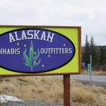 Alaskan Cannabis Outfitters, a new cannabis retail store, is located right at Mile 168 Sterling Highway just before the road turns toward Baycrest Hill. The store opened on 4/20  April 20, 2020  in Homer, Alaska. (Photo by Michael Armstrong/Homer News)