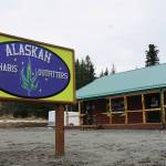 Homer area’s newest pot shop opens on 4/20