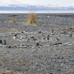 Homer Council on the Arts adapts to art during pandemic