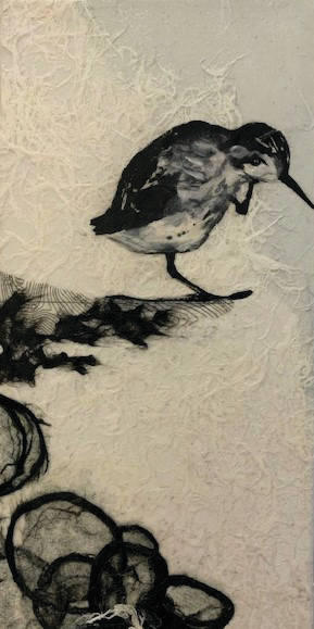 Sharlene Clines Western Sandpiper on Rocks from Shorebirds of Kachemak Bay, opening May 1, 2020, at the Homer Council on the Arts in Homer, Alaska. (Photo courtesy Homer Council on the Arts)