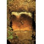 A soils primer for Homer: Mutnala soils are most photogenic