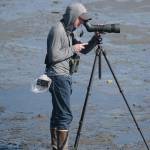 A birder looks for shorebirds on Saturday, May 2, 2020, on the Homer Spit near Mud Bay in Homer, Alaska. (Photo by Michael Armstrong/Homer News)