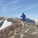 A completely normal scene at the top of Slaughter Ridge in Cooper Landing. (Photo provided by Kat Sorensen)