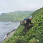 Kevin Pietrzak conducts tufted puffin burrow surveys on Buldir Island in the western Aleutians. Kevin has worked for Alaska Maritime National Wildlife Refuge for the last five summers. (Photo by McKenzie Mudge)
