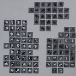 A panel on Kim McNetts Seabird Memorial shows tiles the Homer artist illustrated of dead sea birds McNett found and documented on a expedition from Kotzebue to Point Hope, Alaska. McNett installed the art project for First Friday in May 2020 near the Deep Water Dock in Homer, Alaska. (Photo by Michael Armstrong/Homer News)