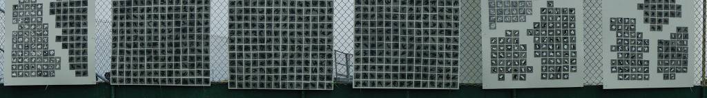 Artist honors dead seabirds in Homer Spit project