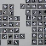 Artist honors dead seabirds in Homer Spit project