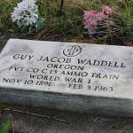 World War I veteran Guy Waddells grave is one of many veterans who are buried in the Hickerson Memorial Cemetery on Diamond Ridge near Homer, Alaska. Memorial Day observances were held at the cemetery on Monday, May 25, 2020. (Photo by Michael Armstrong/Homer News)