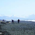 Beach walkers spread out at Bishops Beach on Sunday, March 22, 2020, in Homer, Alaska. During the pandemic, many fitness buffs have taken to the beach for exercise.(Photo by Michael Armstrong/Homer News)