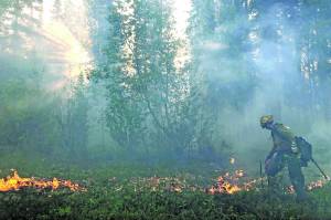 A member of the Gannet Glacier Type 2 Initial Attack Crew uses a drip torch during a burnout operation at the Swan Lake Fire on June 18, 2019. (Photo courtesy Alaska Division of Forestry)