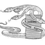 Letters to the Editor