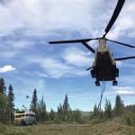 ‘Into the Wild’ goes into the air