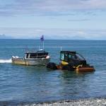 A tractor with the Anchor Point Tractor Launch pulls a fishing boat out of the water on Saturday, June 20, 2020, at the beach in Anchor Point, Alaska. (Photo by Michael Armstrong/Homer News)