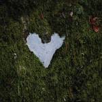 A heart-shaped patch of lichen is on a rock on Saturday, July 18, 2020, at the Hidden Lake Campground in the Kenai National Wildlife Refuge near Sterling, Alaska. (Photo by Michael Armstrong/Homer News)