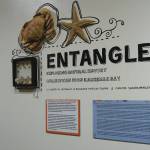 The description for Entangled: Exploring Natural History Collections from Kachemak Bay, as seen on July 13, 2020, at the Pratt Museum in Homer, Alaska. (Photo by Michael Armstrong/Homer News)