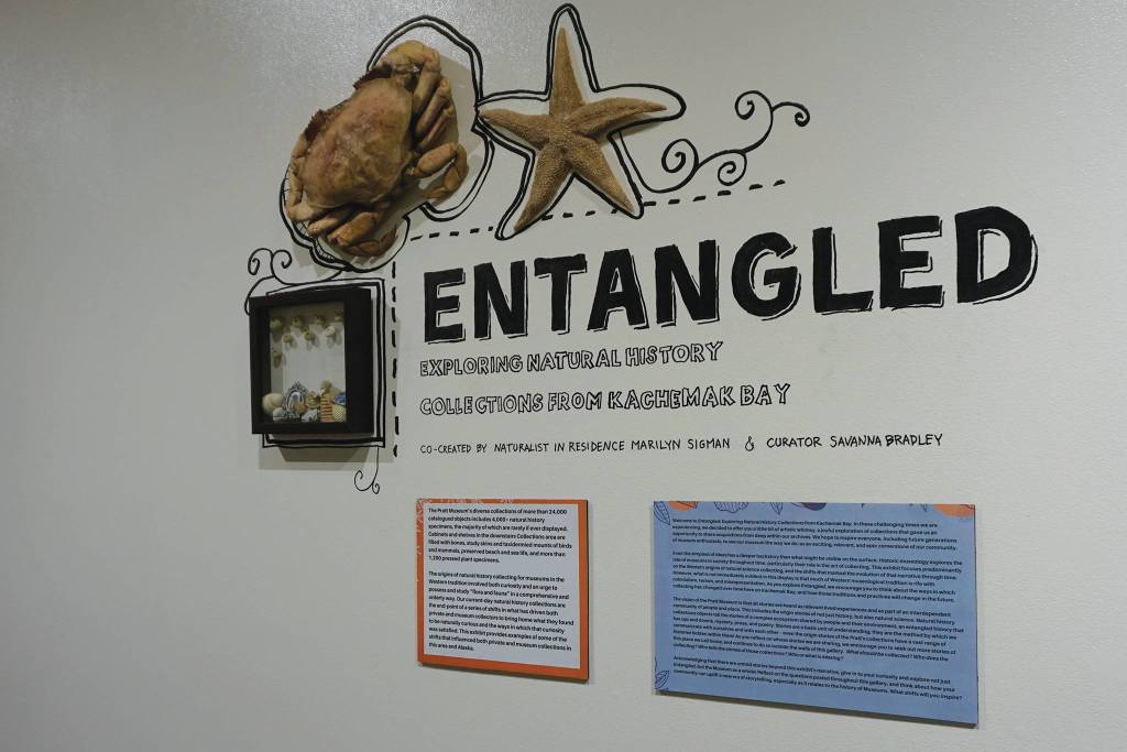 The description for Entangled: Exploring Natural History Collections from Kachemak Bay, as seen on July 13, 2020, at the Pratt Museum in Homer, Alaska. (Photo by Michael Armstrong/Homer News)