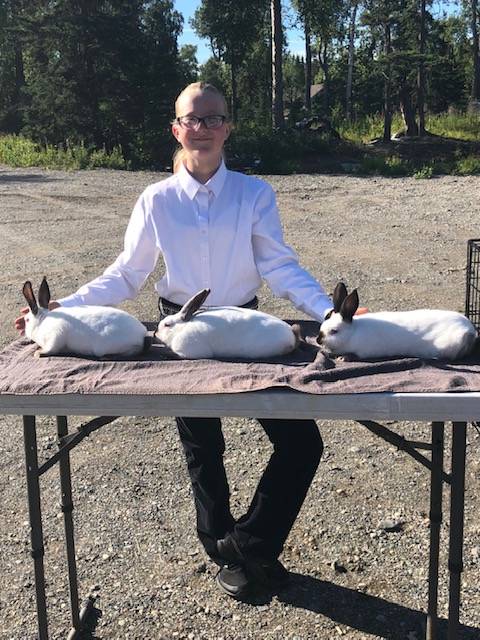 Livestock auction shifts to drive-in at rodeo grounds