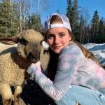 Elora Reichert shows off her sheep that will be sold at the 2020 Kenai Peninsula 4-H Junior Market Livestock Auction in this undated photo. (Photo courtesy Cassy Rankin)