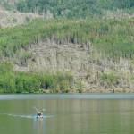 Two women paddle a stand-up paddleboard across Hidden Lake in the Kenai National Wildlife Refuge on July 18, 2020, near Sterling, Alaska. The fallen stands of trees are from the 2019 Swan Lake Fire. (Photo by Michael Armstrong/Homer News)
