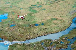 In this undated photo provided by the U.S. Fish and Wildlife Service, an airplane flies over caribou from the Porcupine Caribou Herd on the coastal plain of the Arctic National Wildlife Refuge in northeast Alaska.The Department of the Interior has approved an oil and gas leasing program within Alaskas Arctic National Wildlife Refuge. The refuge is home to polar bears, caribou and other wildlife. Secretary of the Interior David Bernhardt signed the Record of Decision, which will determine where oil and gas leasing will take place in the refuges coastal plain. (U.S. Fish and Wildlife Service)