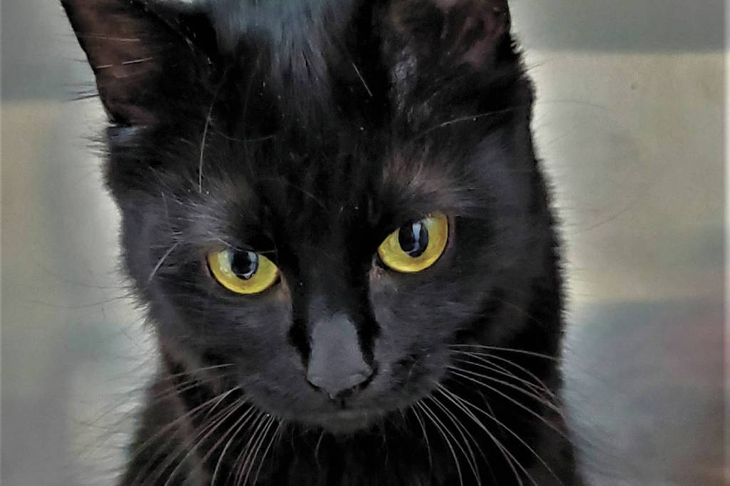 Pet of the Week: Thumbelina