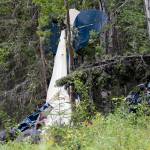 A plane rests in brush and trees after a midair collision outside of Soldotna, Alaska. State Rep. Gary Knopp, an Alaska state lawmaker who was involved in a July midair collision that killed seven people, was piloting his plane even though his medical flight certification was denied eight years ago because of vision problems, the National Transportation Safety Board reported Tuesday, Aug. 25, 2020. (Jeff Helminiak / Peninsula Clarion)