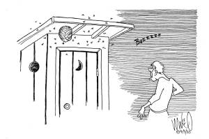 Letters to the Editor