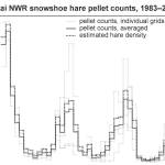 Refuge Notebook: Snowshoe hare population is on rise