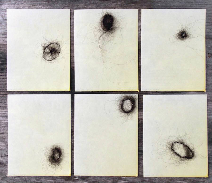 Sonya Kelliher Combs From the Body is one of the works from Fragile Domestic, a group show on display for October 2020 at Bunnell Street Arts Center in Homer, Alaska. (Photo courtesy of Bunnell Street Arts Center)