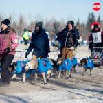 Associated Press                                In this March 2017 photo, volunteer handlers guide teams out of the dog yard and down the chute to the starting line of the 45th Iditarod Trail Sled Dog Race in Fairbanks, Alaska. The worlds most famous sled dog race will go forward in 2021, and officials are preparing for every potential contingency now for what the coronavirus and the world might look like in March when the Iditarod starts.